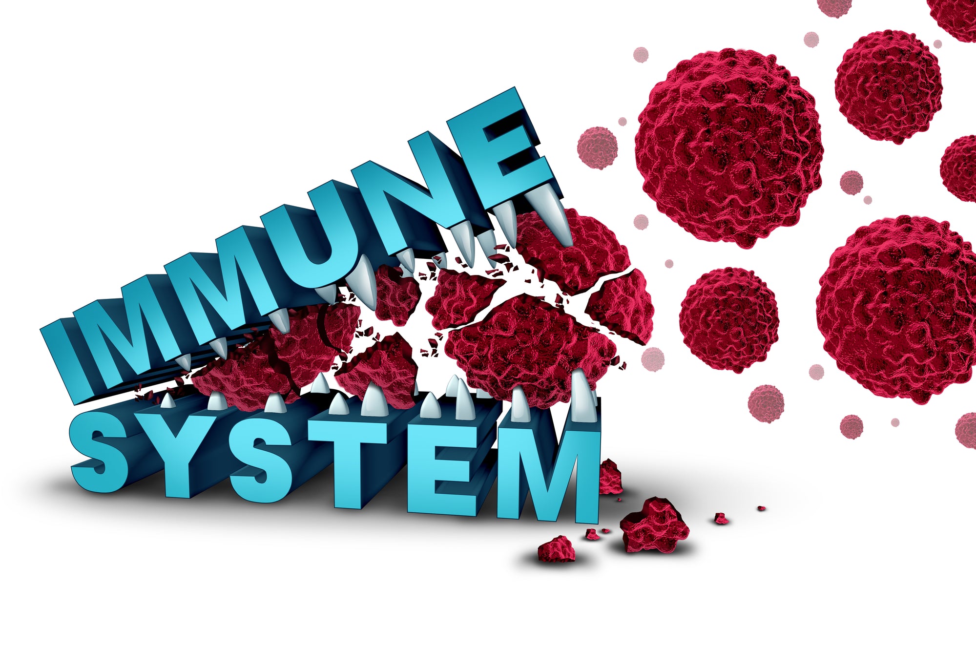Introducing Immune Support (with Quercetin, Bromelain, Zinc and Selenium)