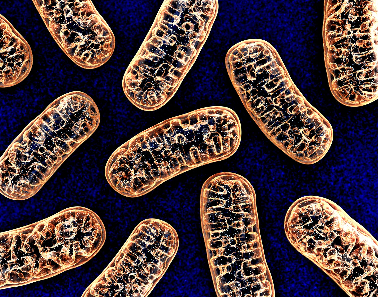 What Is PQQ? The Mitochondrial Powerhouse!