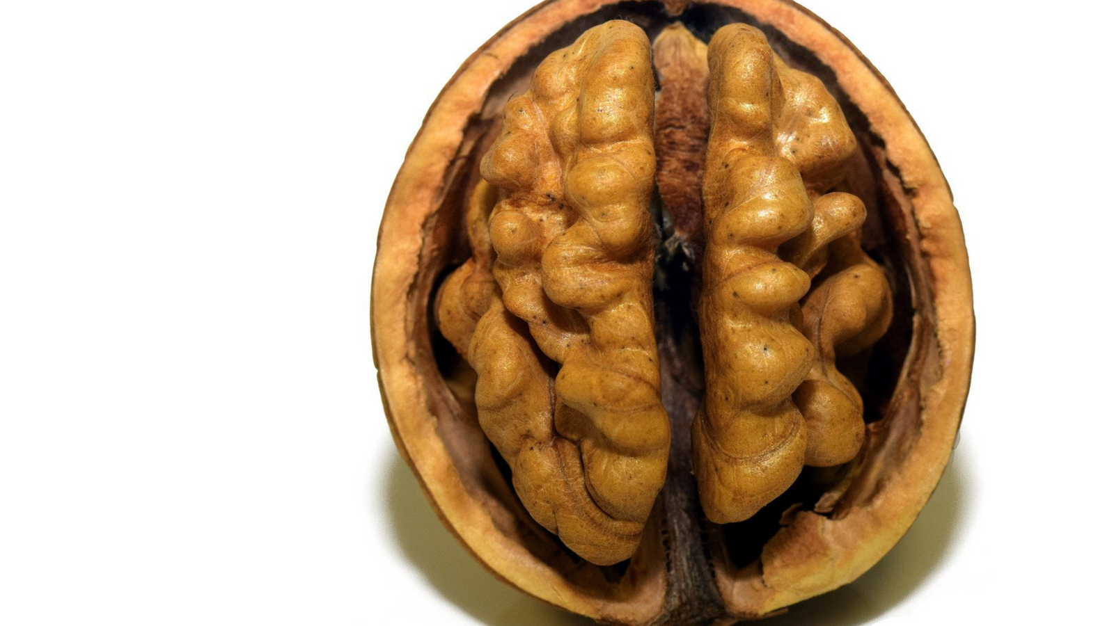 Psychobiome Health: A New Approach To Mental Health Optimization