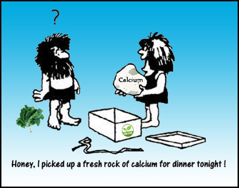 Why Is Calcium Your Best Friend?