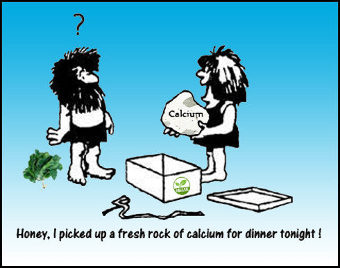 Why Is Calcium Your Best Friend?