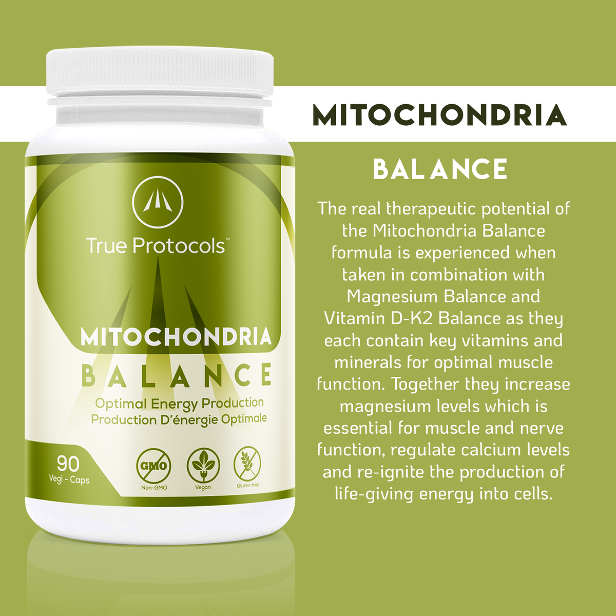 Mitochondria Balance - Optimal Energy Production with L-Carnitine, CoQ10, PQQ, B1, B2, B3, B5, B12 &amp; Folic Acid