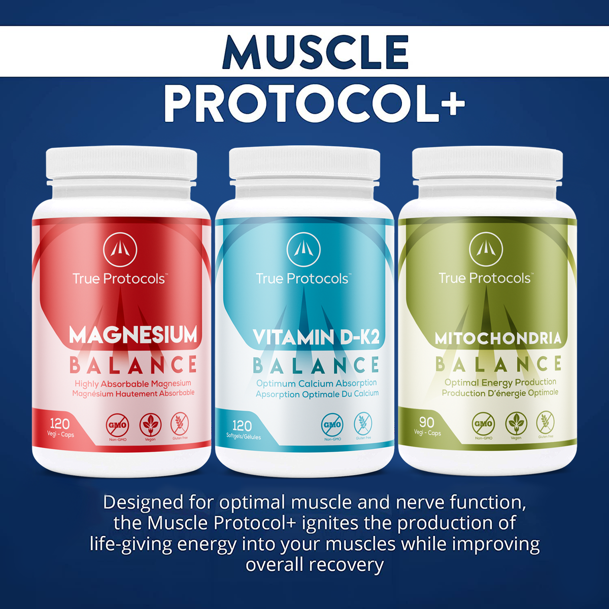 Muscle Protocol+ - Magnesium Balance, Vitamin D-K2 Balance &amp; Mitochondria Balance - Bioavailable Capsules for Optimal Muscle Function, Bone Health, Stress Relief, and Sleep