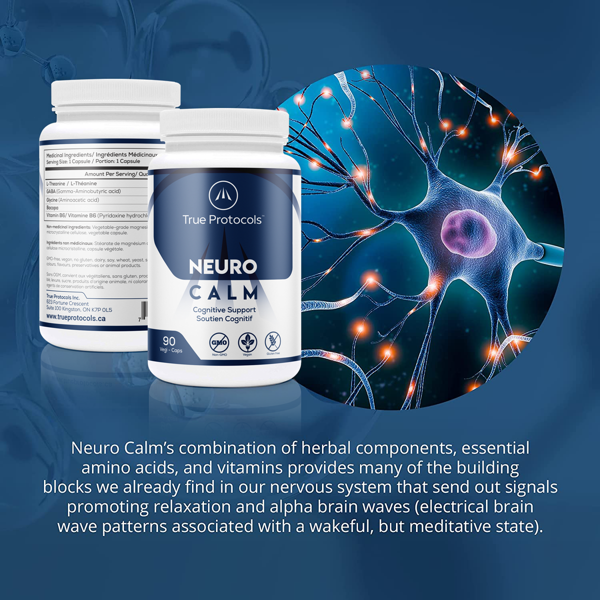 Neuro Calm - Cognitive Support with L-Theanine, GABA, Glycine, Bacopa Monnieri and Vitamin B6