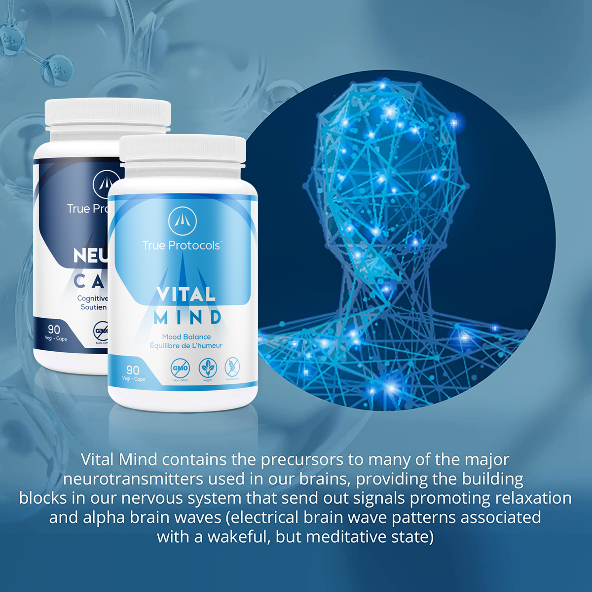 Brain Protocol - Neuro Calm &amp; Vital Mind for Optimal Cognitive Health, Mood Balance, &amp; Brain Function