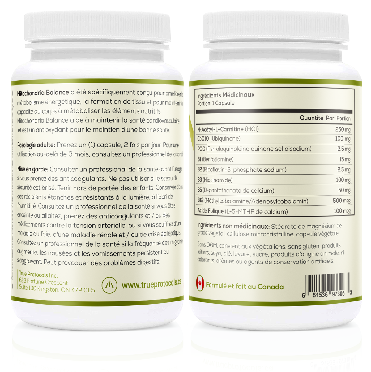 Mitochondria Balance - Optimal Energy Production with L-Carnitine, CoQ10, PQQ, B1, B2, B3, B5, B12 &amp; Folic Acid