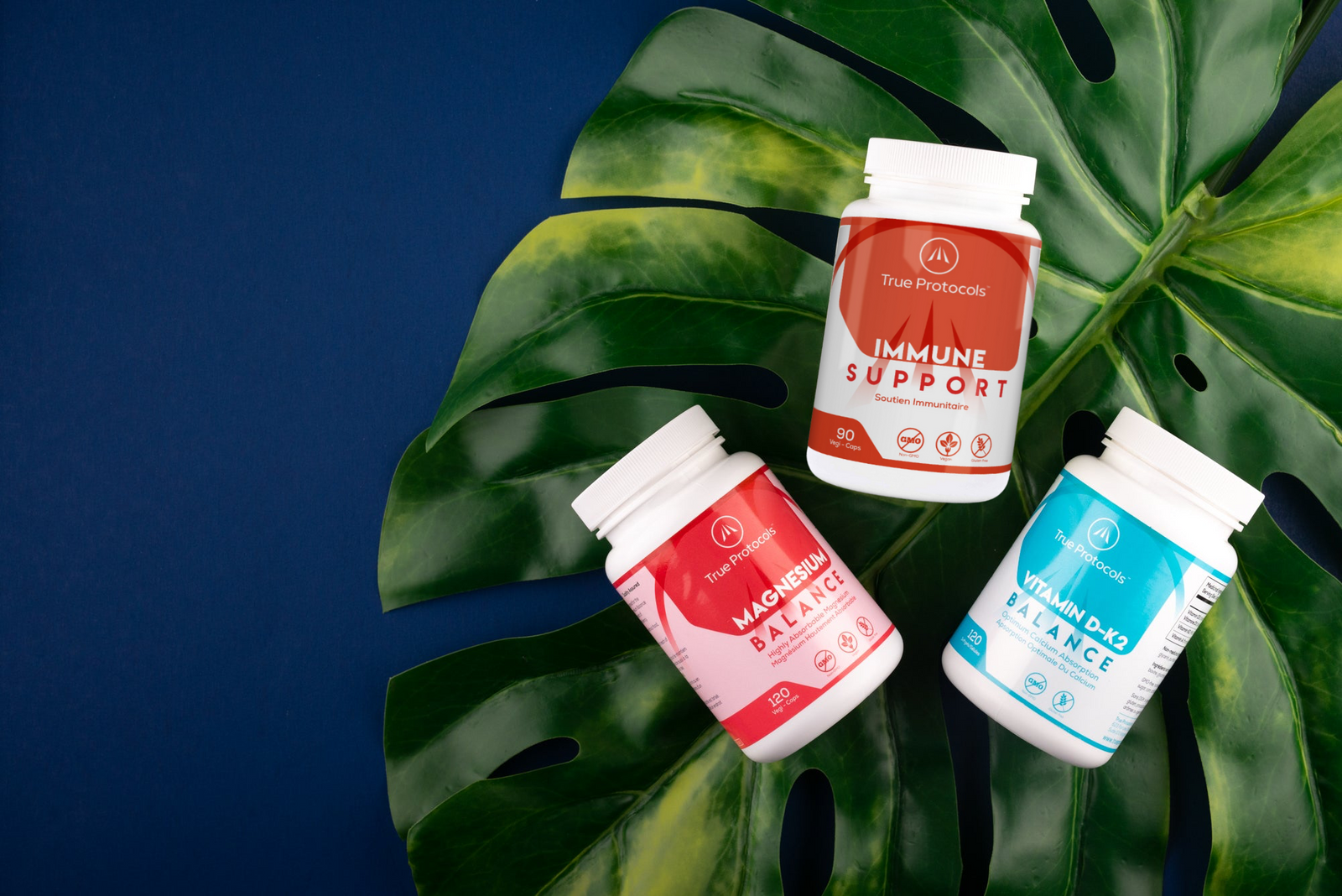 Immune Support Protocol Supplements