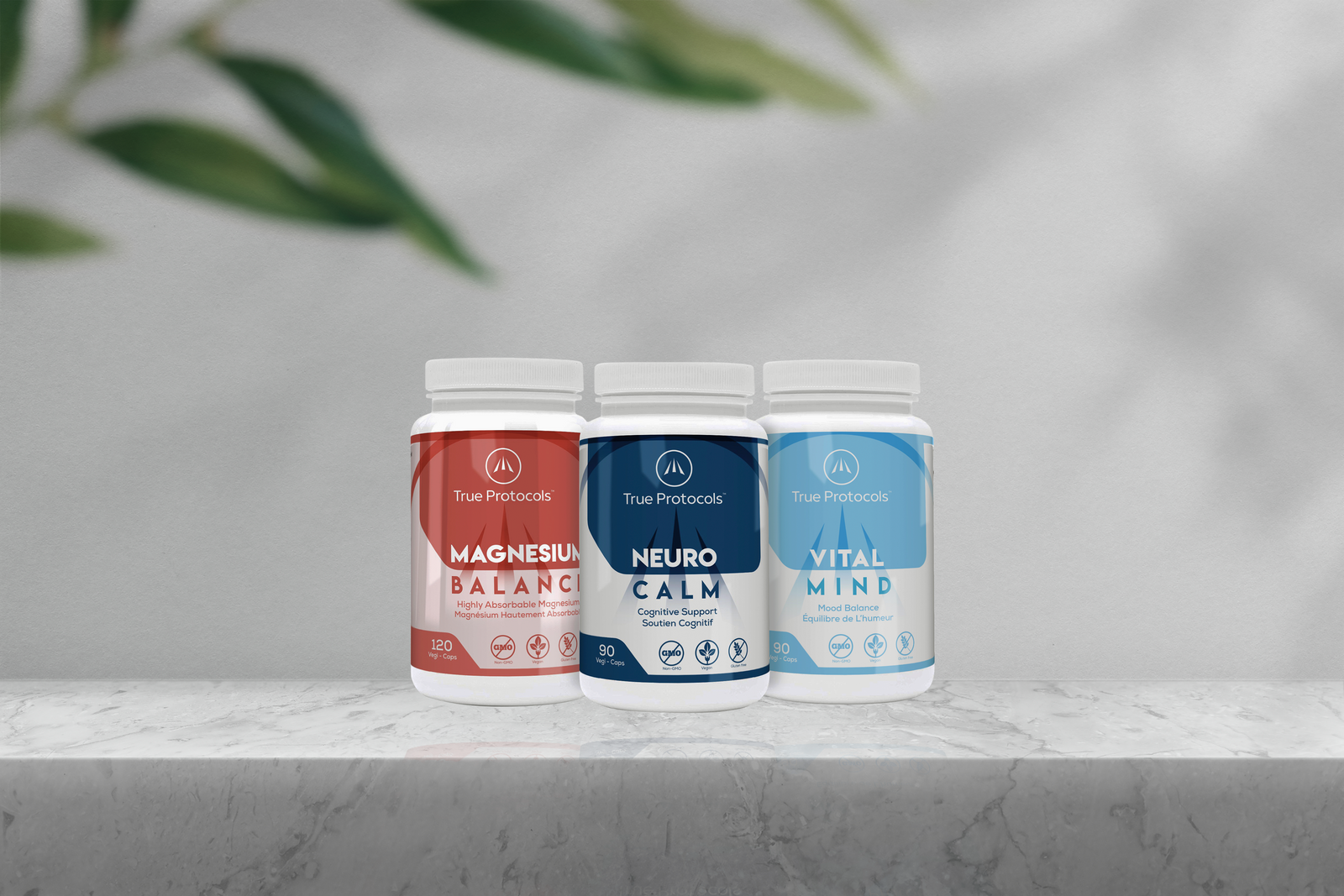 Brain Protocol+ Supplements